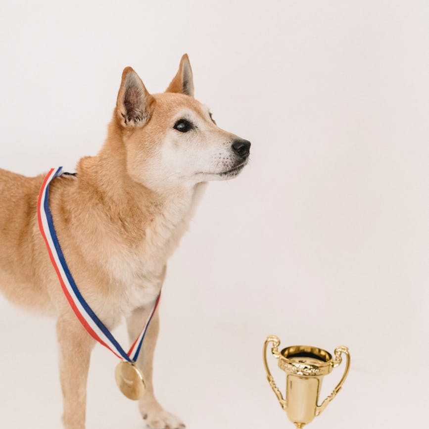 Performance management criteria for OKRs