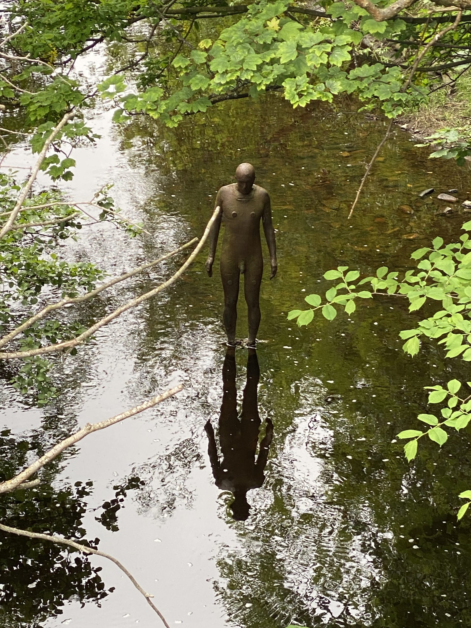 A statue of a naked man in the river Leith in Edinburgh Scotland reflecting in the water